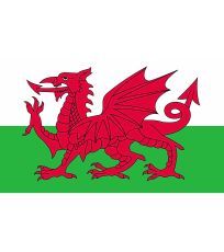 Vlajka Walesu FLAGWLS Printwear 