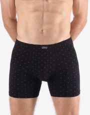 Pánske boxerky s dlhšou nohavičkou 74173P GINA