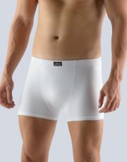 Pánske boxerky s kratšou nohavičkou 73088P GINA