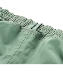 Pánske outdoorové nohavice ZARM ALPINE PRO loden frost