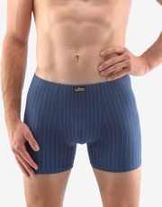 Pánske boxerky s dlhšou nohavičkou 74151P GINA