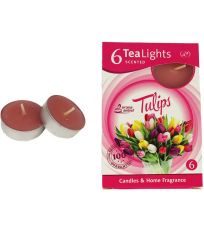 Sviečka čajová TULIPS 6ks MSC-TL1013 MOREX