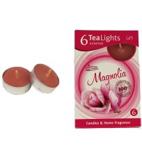 Sviečka čajová MAGNOLIA 6ks MSC-TL1016 MOREX 