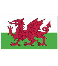 Vlajka Walesu FLAGWLS Printwear