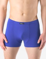 Pánske boxerky s kratšou nohavičkou 73125P GINA