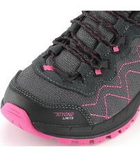 Unisex outdoorová kožená obuv CERNE 2 ALPINE PRO tmavo šedá