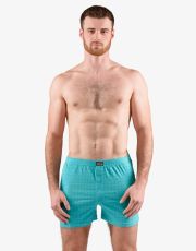 Pánske voľné trenírky 75208P GINA pepermint-šalvia