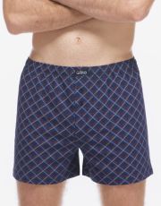 Pánske voľné trenírky 75218P GINA