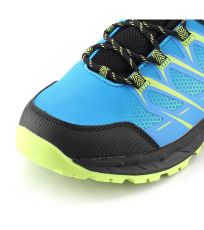 Unisex outdoorová obuv HAIRE ALPINE PRO šedá