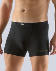 Boxerky s kratšou nohavičkou 73104P GINA