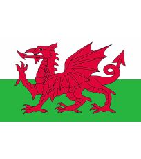 Vlajka Walesu FLAGWLS Printwear 