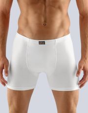 Pánske boxerky s dlhšou nohavičkou 74086P GINA